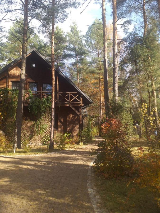 Вилла Lesna Ostoja Nad Pilica Lechanice Экстерьер фото