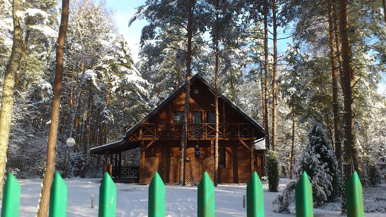 Вилла Lesna Ostoja Nad Pilica Lechanice Экстерьер фото