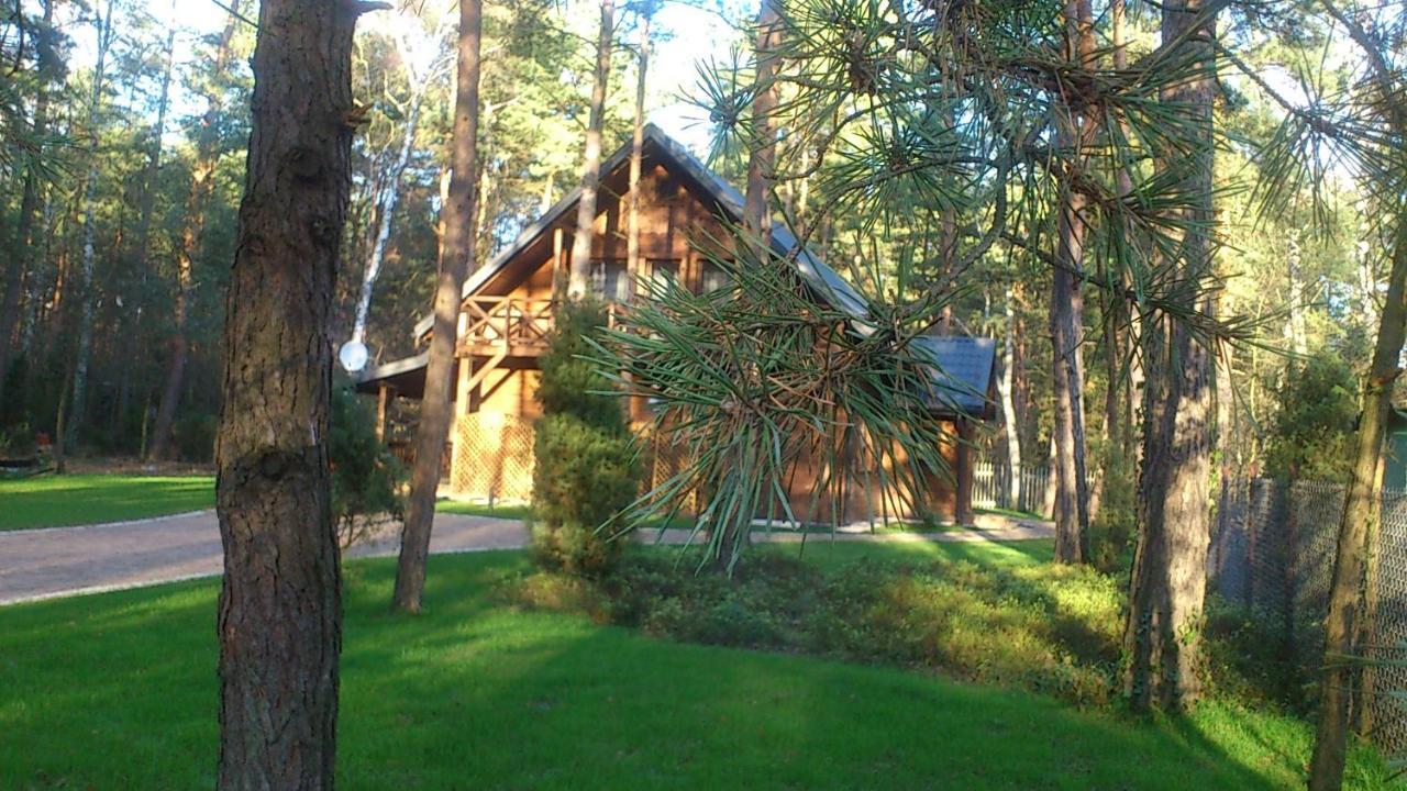 Вилла Lesna Ostoja Nad Pilica Lechanice Экстерьер фото
