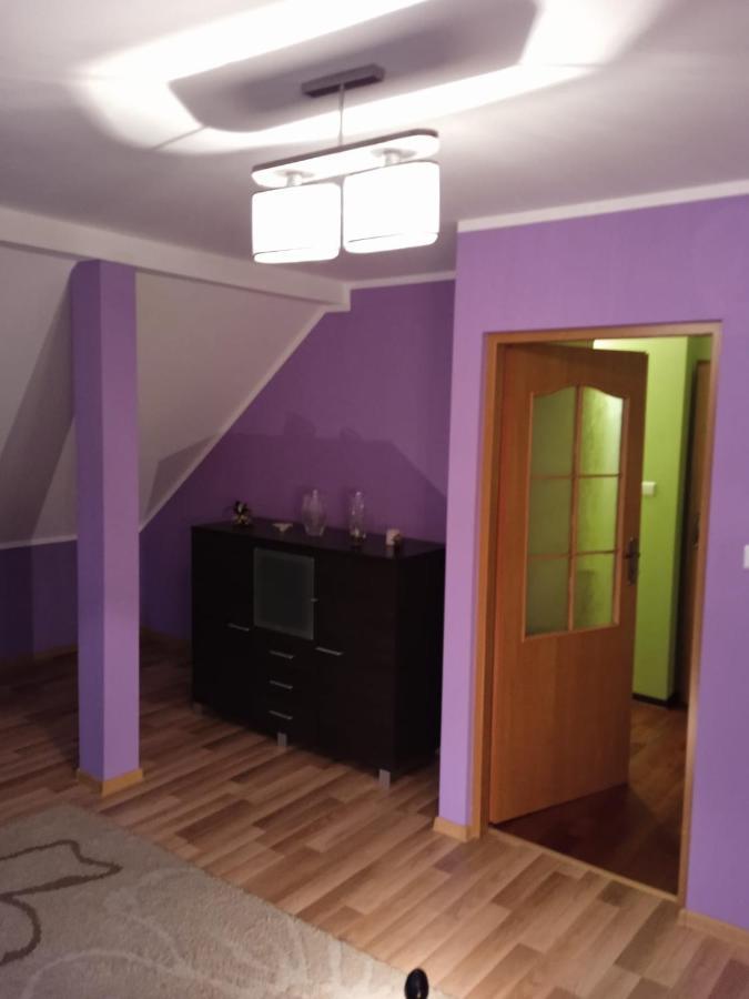 Вилла Lesna Ostoja Nad Pilica Lechanice Экстерьер фото
