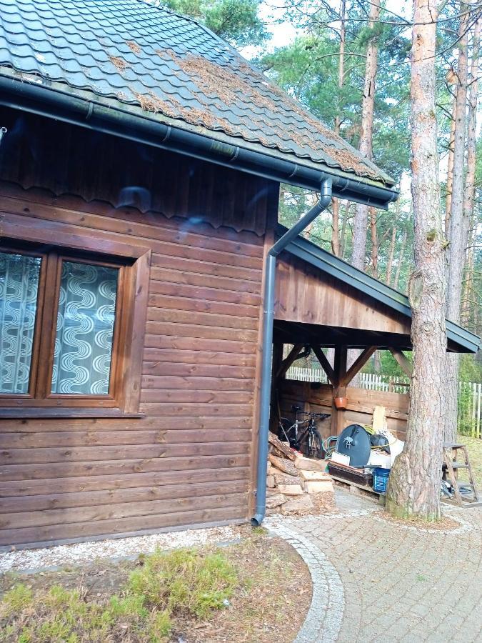 Вилла Lesna Ostoja Nad Pilica Lechanice Экстерьер фото
