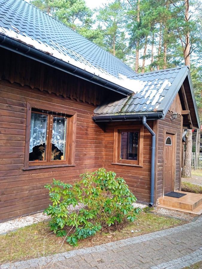 Вилла Lesna Ostoja Nad Pilica Lechanice Экстерьер фото