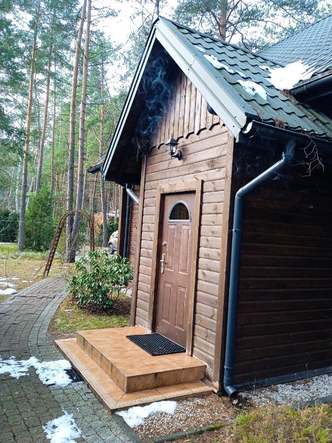 Вилла Lesna Ostoja Nad Pilica Lechanice Экстерьер фото
