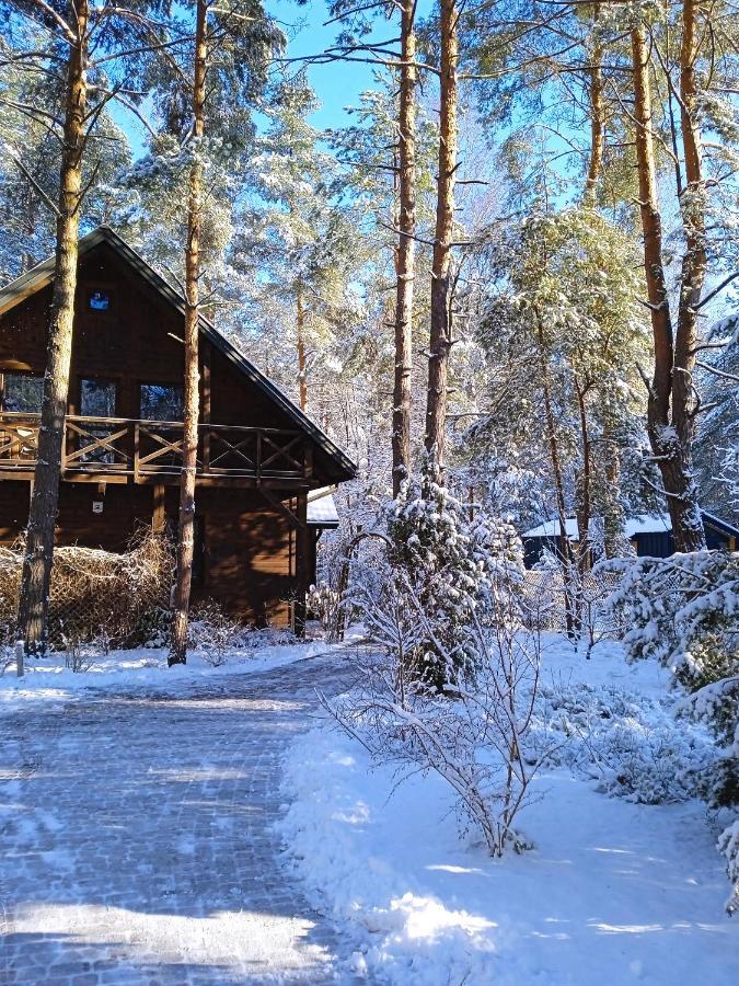Вилла Lesna Ostoja Nad Pilica Lechanice Экстерьер фото