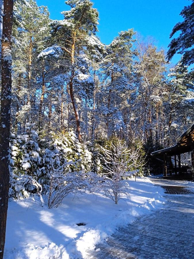 Вилла Lesna Ostoja Nad Pilica Lechanice Экстерьер фото