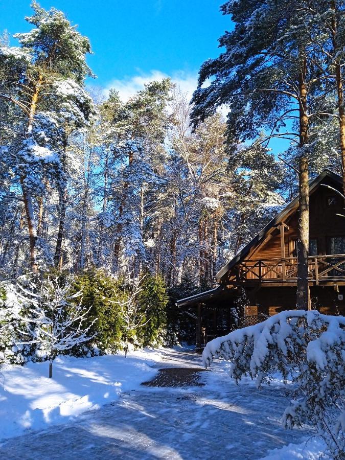 Вилла Lesna Ostoja Nad Pilica Lechanice Экстерьер фото