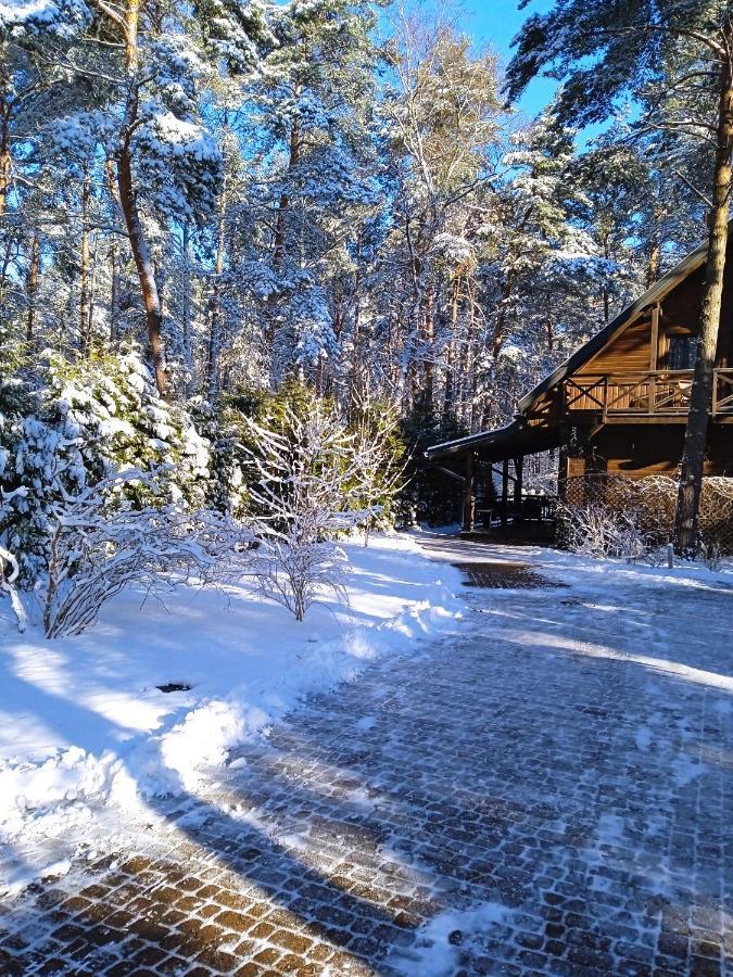 Вилла Lesna Ostoja Nad Pilica Lechanice Экстерьер фото